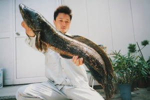 雷魚のパワーに！ライギョロッド・・・懐かし(?_?)