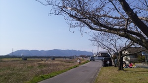 開花宣言！　　お花見(^^♪