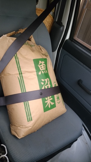 この時期に炉端大将？！
