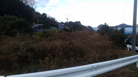 仁尾の海を眺めながら^^;みかん畑を整地